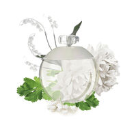 NOA 100ml-62697 NOA 100ml-62697 1